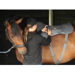 Equilibrium Massage Back Pad & Hotspot Mitt Combo Pack - 3 Length Sizes Available